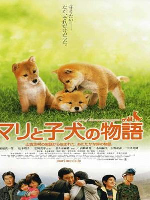 Câu Chuyện Mari Và 3 Chú Cún - A Tale of Mari and Three Puppies