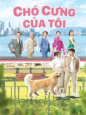movie-card