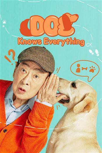 Chú Chó Biết Tuốt - Dog Knows Everything