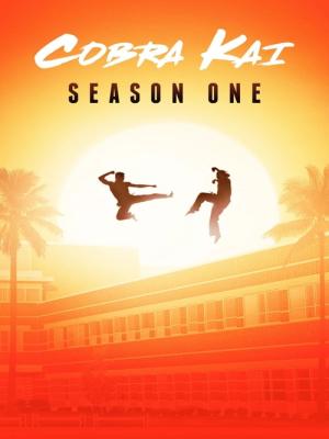 Võ Đường Cobra Kai - Cobra Kai Season 01