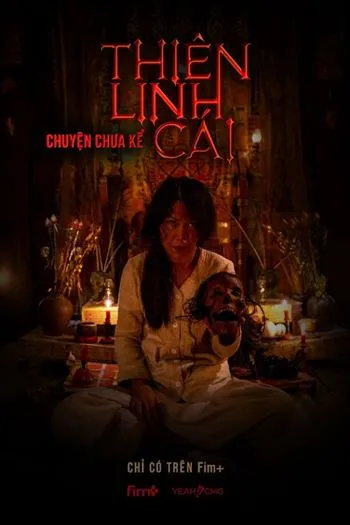 Thiên Linh Cái Chuyện Chưa Kể